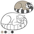 Color me: lemur. Little cute lemur sleeps.