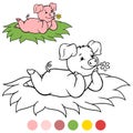 Color me: Little cute piglet lies on the grass and smiles. Flower in the mouth