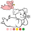 Color me: Little cute piglet lies and smiles. The flower in the mouth