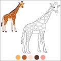 Color me: wild animals. Big kind giraffe with long neck stands and smiles Royalty Free Stock Photo