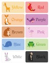 Color names vocabulary in english for primary education
