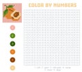 Color by number, fruits and vegetables, apricot