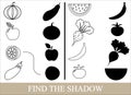 Color objects of vegetables, berries and fruits and find the correct shadow. Royalty Free Stock Photo