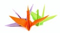 Color origami bird