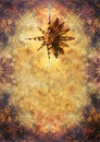 Color ornamental structure and ornamental star with feathers, loral ornamental background. sepia tones