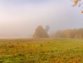 Rural countryside with fall foliage, trees, meadow, grass on a misty sunny day