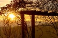 Glorious epic golden idyllic winter morning sunrise seen through a trellis for roses