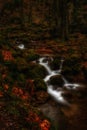 Surreal long exposure of a small creek in a dark forest