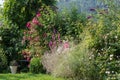 Color outdoor nature image of a garden with a bench, flowers,roses,anemones and lawn, a forest on a hill in the background on a