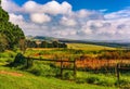 Color outdoor scenic panoramic idyllic landscape photography of a rural landscape, fields, meadow, taken in Drakensberge, South