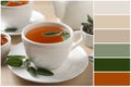 Color palette and cup of aromatic sage tea served with honey on wooden table. Collage Royalty Free Stock Photo