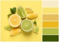 Color palette and fresh ripe lemons, limes and mint leaves on yellow background, flat lay. Collage Royalty Free Stock Photo