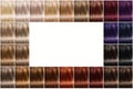 Color palette of hair dyes. A palette of hair colors with a wide selection of samples. There is an empty space in the center