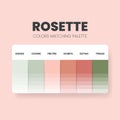 Color palette in a Rose colour themed collections. Color scheme or colors chart template. Color combination set of RGB, HSL and