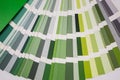 Color palette in shades of green on a white background. Color catalog in the form of a fan