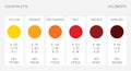 Color palette, ui elements. RGB vector illustration, colour set template. Yellow, orange, red, marsala tone on white