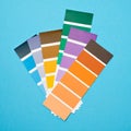 Color palette with various samples. Paint selection catalog