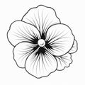 Black And White Floral Drawing Of A Pansy Flower