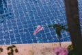 Color Paper Plane Drown in The Pool