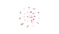 Color Peach Petal Vector White Background. Pink