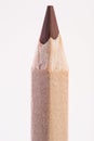 Brown color pencil vertically. macro Royalty Free Stock Photo