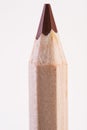 brown color pencil vertically. macro