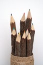 Color Pencils Made From Tree Limbs