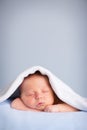 Newborn Baby Boy Sleeping Peacefully Under Blue Blanket Royalty Free Stock Photo