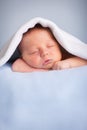 Newborn Baby Boy Sleeping Peacefully Under Blue Blanket Royalty Free Stock Photo