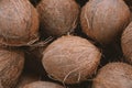 Color photo of several large coconuts closeup