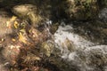 River between stones with autumn leaves Royalty Free Stock Photo