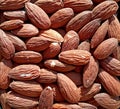 Photography of almond seed fruits Royalty Free Stock Photo