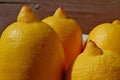 Photography of Citrus limon lemons