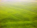 Color photography of fields from top view Royalty Free Stock Photo