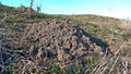 A molehill or mole-hill, mole mound Royalty Free Stock Photo