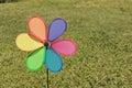 Color Pinwheel Royalty Free Stock Photo
