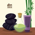 Color poster of spa center with bamboo plant and herbal essence bottle and lava stones and facial cream Royalty Free Stock Photo