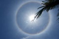 color ring or halo sun