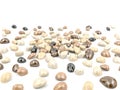 Color river pebbles on white background