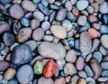 Color river stones background Royalty Free Stock Photo
