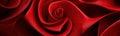 Red closeup rose beauty nature love flower bloom background petal background macro Royalty Free Stock Photo