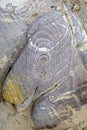 Color sandstone rocks in Jordan desert. Royalty Free Stock Photo