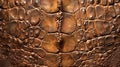 Color scaly dragon skin with high quality texture