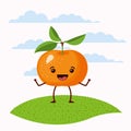 Color scene set sky landscape and grass with cartoon expressive tangerine fruit kawaii standing