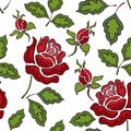 Color seamless lace pattern with rose on white background