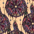 Color seamless pattern dream catcher with feathers