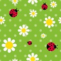 Color seamless pattern flowers daisies and ladybugs Royalty Free Stock Photo