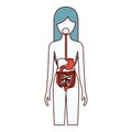 Color sections silhouette of female person with digestive system human body