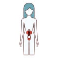 Color sections silhouette of female person with renal system human body