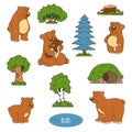 Color set of animals and objects, family of bears